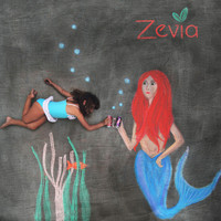 Zevia Collaboration