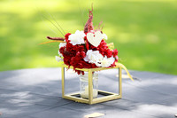 Tisha & Lyss Wedding